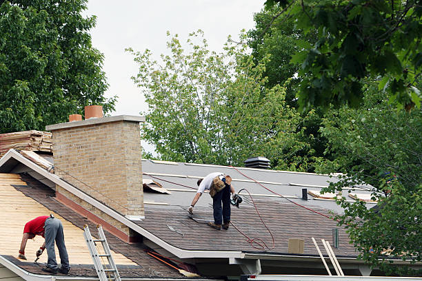 Best Flat Roof Repair Services  in Hauula, HI